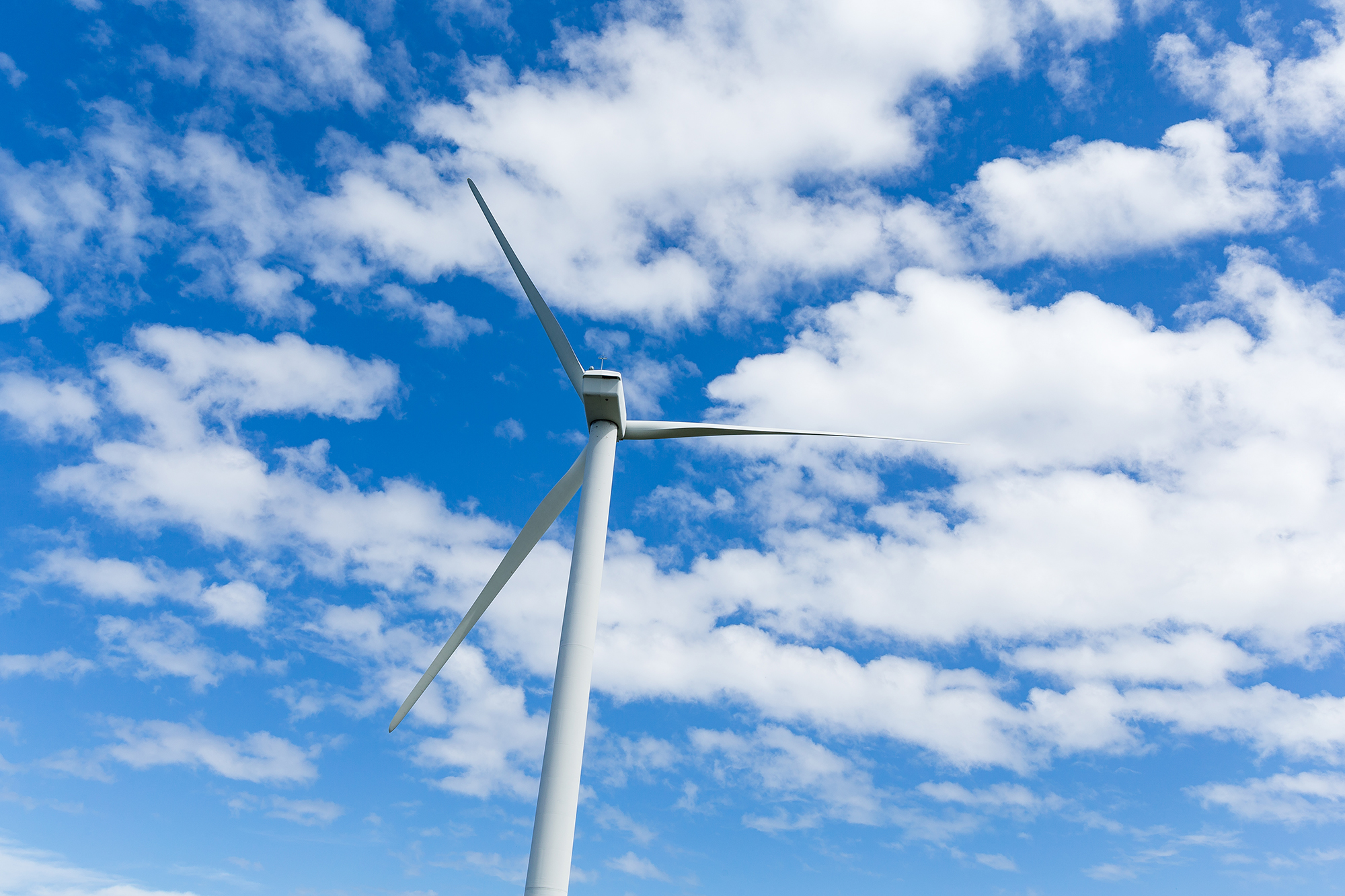 Is Renewable Energy Really Overtaking Fossil Fuels? wind turbine 2023 11 27 05 06 31 utc copy