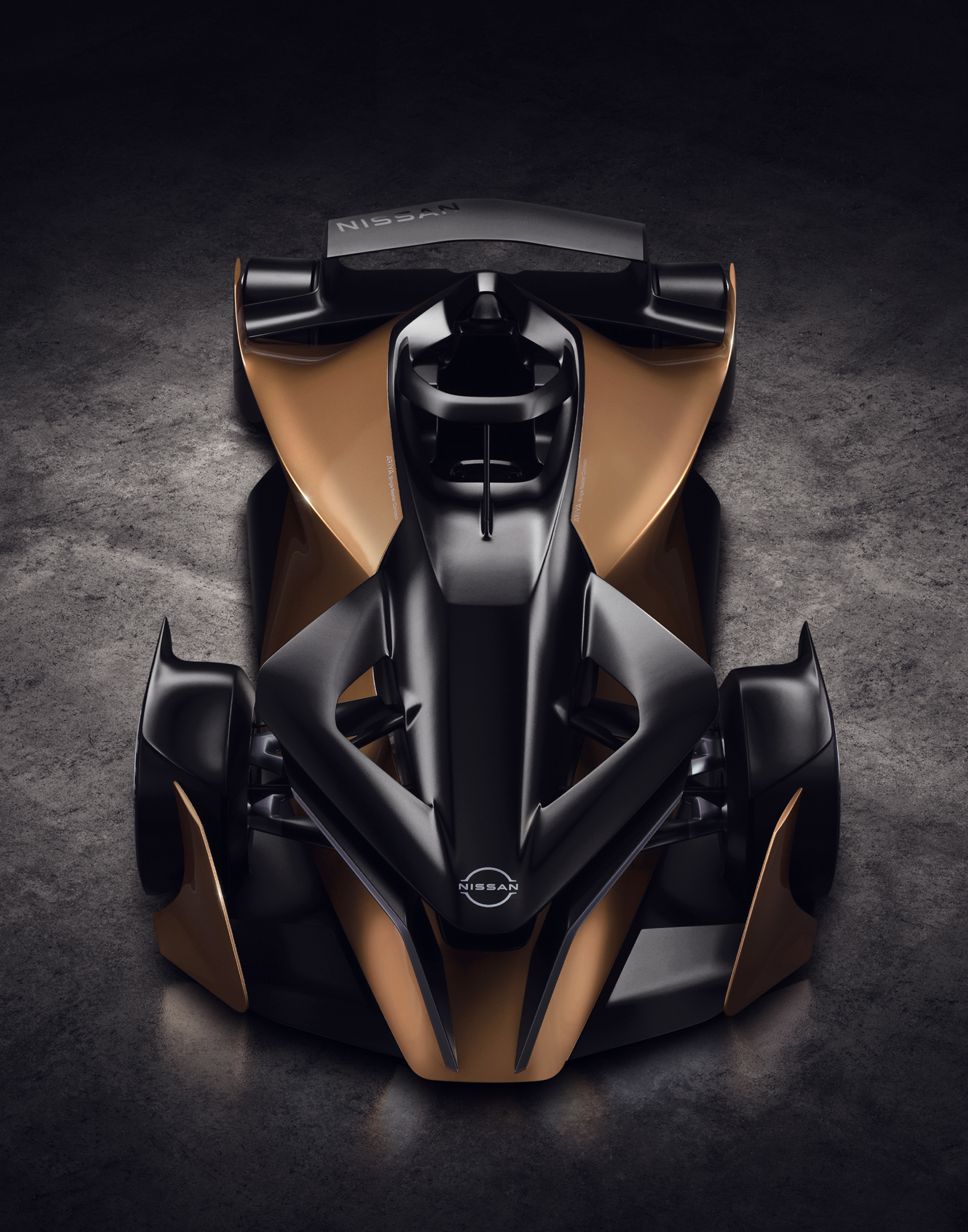 Ogle Models Nissan Crop copy