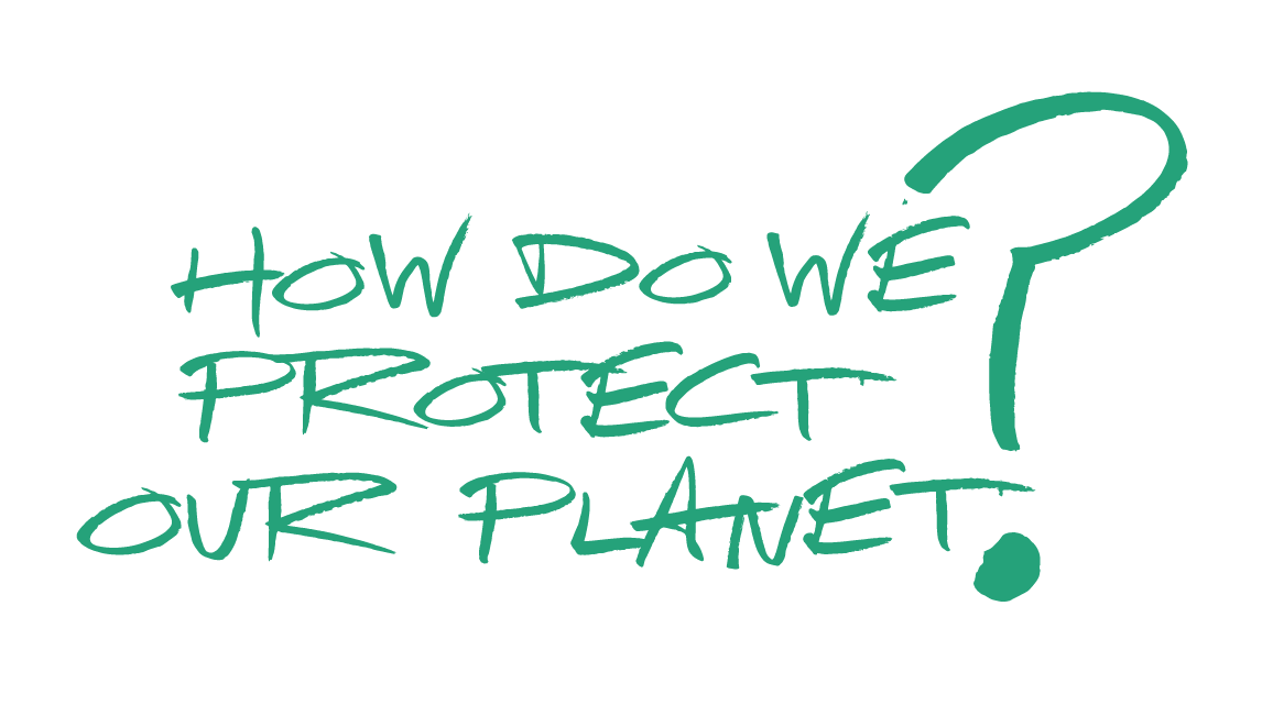 Our Story PP Plus heading graphic protect our planet